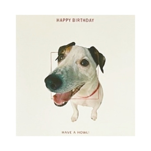 Happy Birthday, Have A Howl Birthday Card - Picture 5 of 7